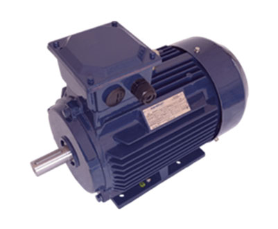 Motor Trifásico IP55/TFVE